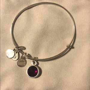 Alex and Ani birthstone Bracelet- January Garnet